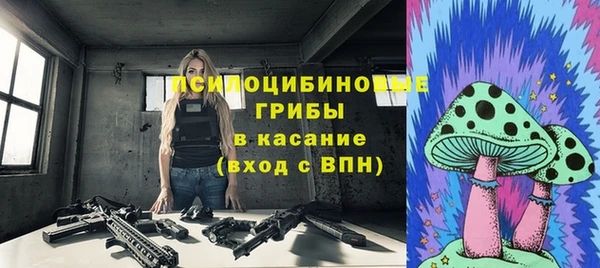 2c-b Осташков