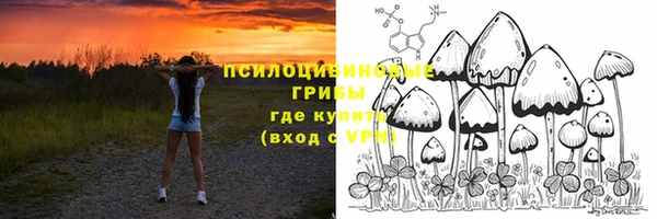 дмт Остров