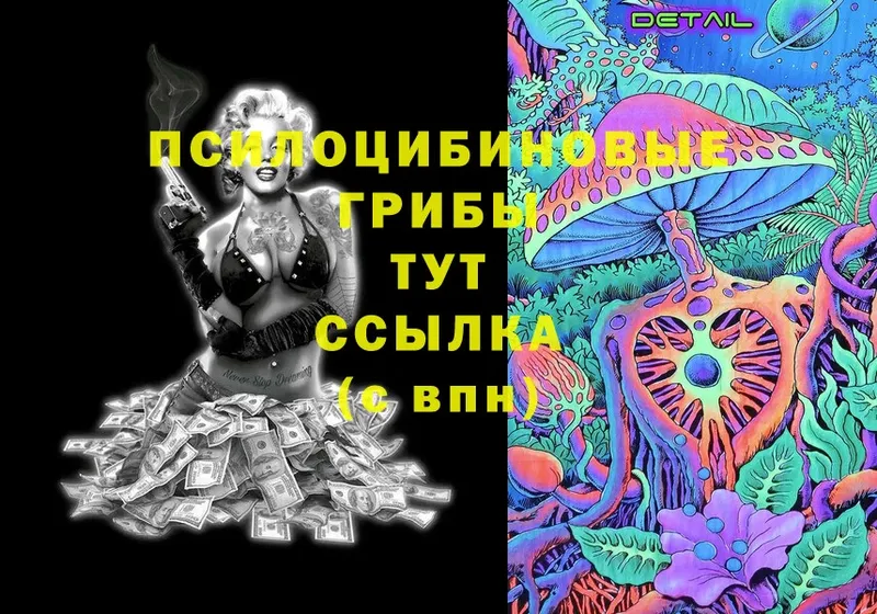 Псилоцибиновые грибы Psilocybe  сколько стоит  Абинск 